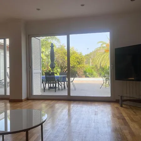 فيلة Alvaro دينايا